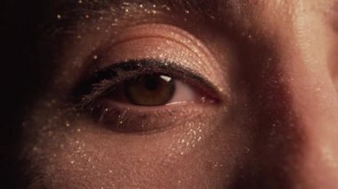 WOMANS göz makyaj kapatmak Glitter Sparkle Glamour 6