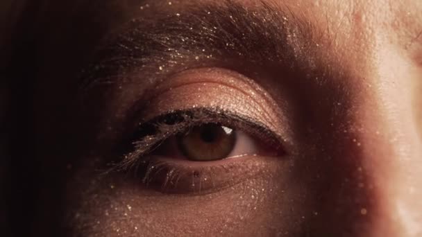 Womans Eye maquiagem closeup brilho brilho glamour 9 — Vídeo de Stock