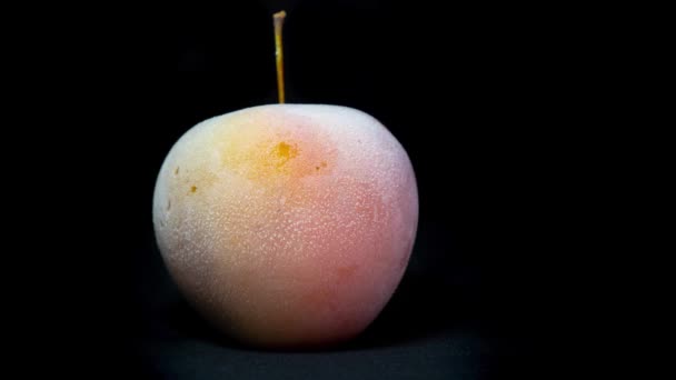 Заморожене Яблуко Unfrozing Повільно Timelapse — стокове відео