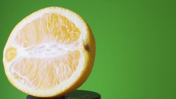 Rotating Orange on a Green Background — Stock Video