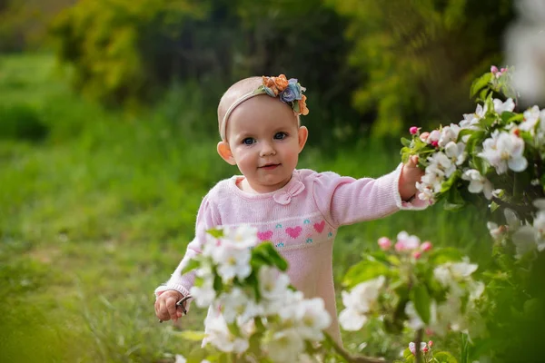 Menina Alegre Fica Perto Uma Macieira Florescente — Fotografia de Stock