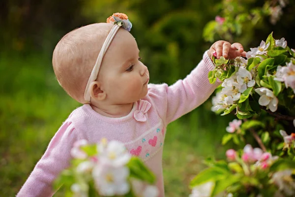 Menina Alegre Fica Perto Uma Macieira Florescente — Fotografia de Stock