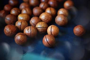 Mavi kumaşta Macadamia fındığı