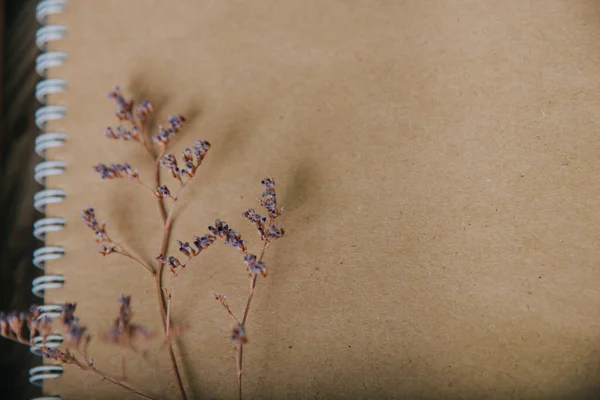 Sprig med torra blå blommor på en anteckningsbok med hantverkspapper. — Stockfoto