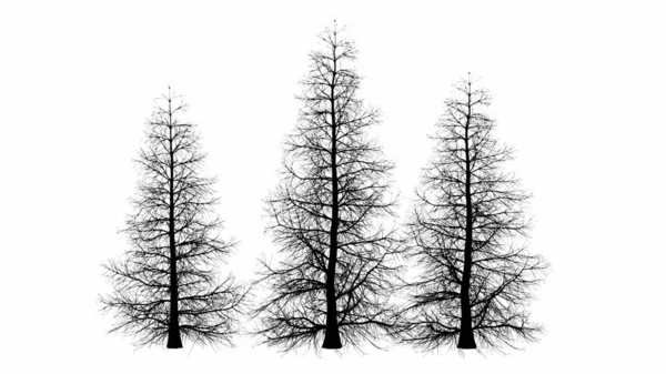 Ilustrasi Siluet Pohon Hitam Pada Latar Belakang Putih — Stok Foto