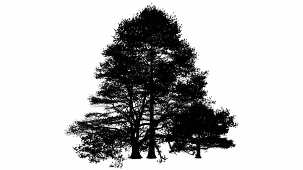 Albero Nero Silhouette Illustrazione Sfondo Bianco — Foto Stock
