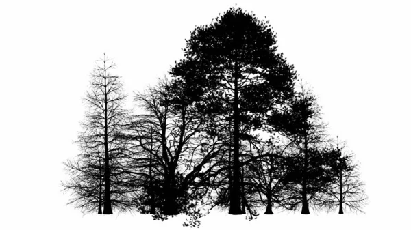 Czarne Drzewo Ilustracja Sylwetka Białym Tle — Zdjęcie stockowe