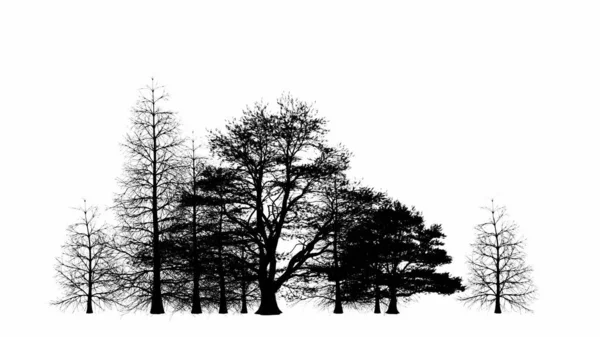 Albero Nero Silhouette Illustrazione Sfondo Bianco — Foto Stock