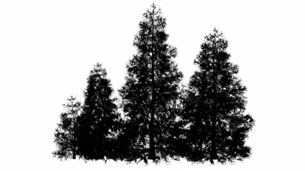 Ilustrasi Siluet Pohon Hitam Pada Latar Belakang Putih — Stok Foto