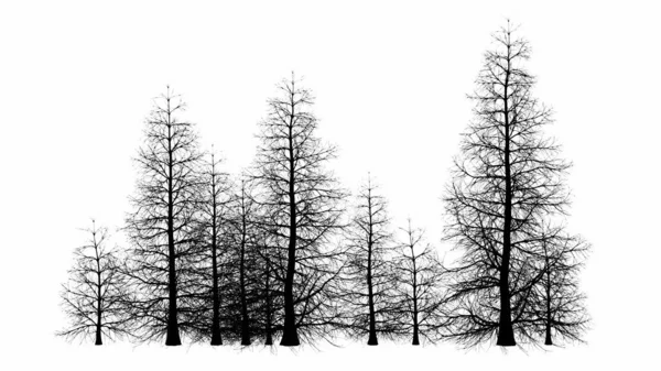 Albero Nero Silhouette Illustrazione Sfondo Bianco — Foto Stock