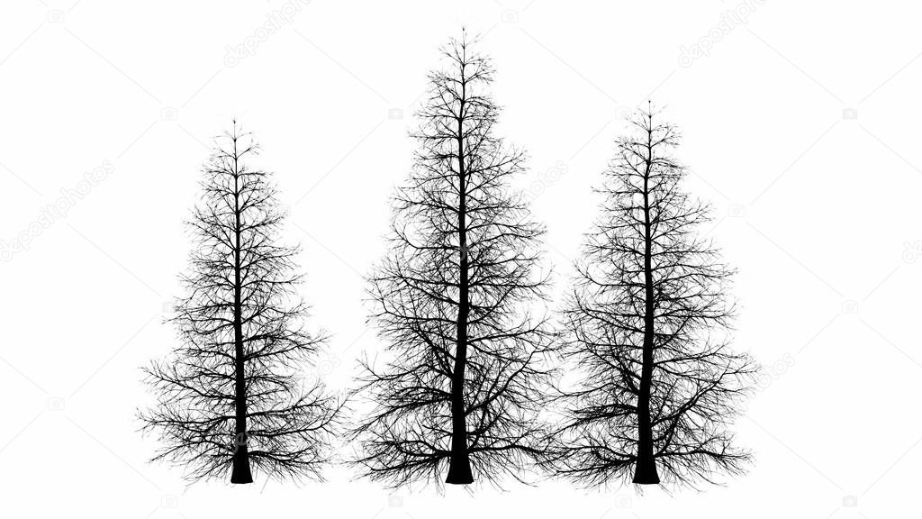 Black tree silhouette illustration in white background