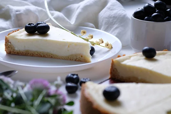 ブルーベリーのクラシックチーズケーキ — ストック写真