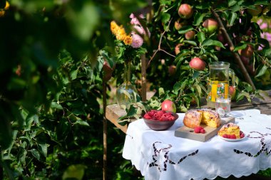 Elmalı turtadan kesilen bir parça bir tabakta yatıyor. Kırsal hayat: güneşli parlak bir gün, elma ağacının altındaki elmalı turta eski bir masa, meyve ve böğürtlen, çiçekler.