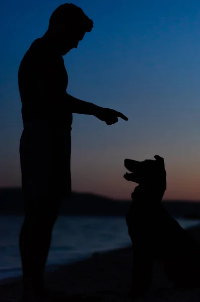 Köpek bakıcılığı ve antrenörlerin eline dikkat etmek. Sahilde akşam gökyüzünde siluetler.