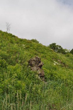 Doğa. Dağlar ve taş. Rusya, Haziran 2019.