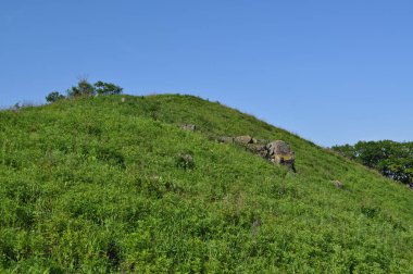 Japonya Denizi yakınlarındaki dağın zirvesi. Rusya, 19 Haziran 2019. Fotoapparat Nicon D5000. 
