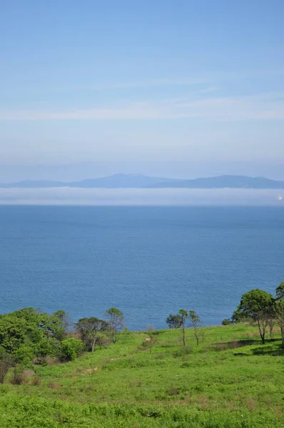 Bosque Mar Junio Rusia Nakhodka Junio 2019 Fotoapparat Nicon D5000 — Foto de Stock