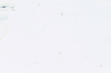 Beyaz kar doku ve arka plan dokular için büyük