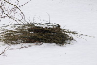 odun kar üzerinde demetleri
