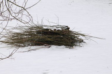 odun kar üzerinde demetleri