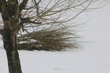 odun kar üzerinde demetleri