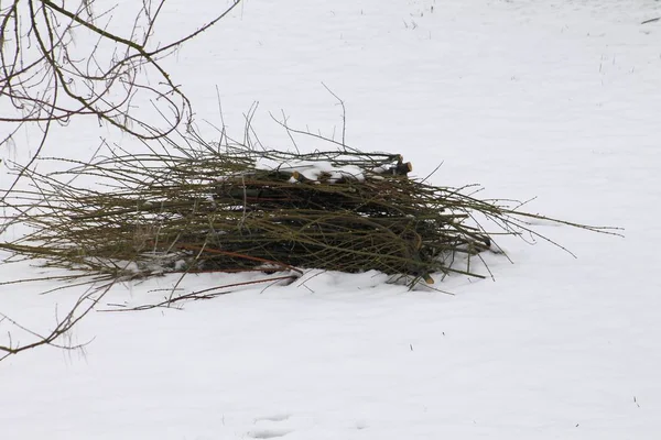 odun kar üzerinde demetleri
