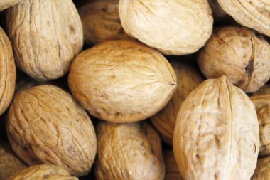 Arka plan doku için fındık kabuğu ile ham ceviz