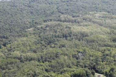 park ve dağ arka planda görüntülemek