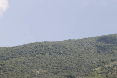 park ve dağ arka planda görüntülemek