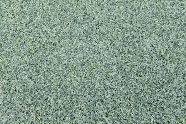 Groen Gras Achtergrond Textuur — Stockfoto