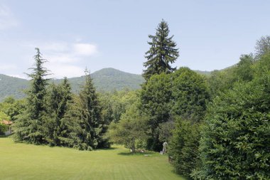 Kuzey İtalya yeşil woods ile manzara