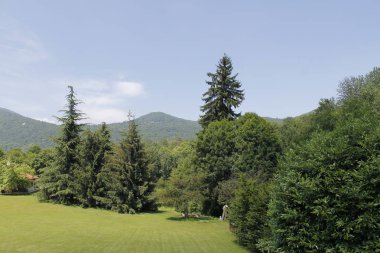 Kuzey İtalya yeşil woods ile manzara