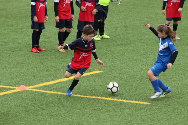 Brescia Itálie Listopadu 2018 Děti Hrají Šampionátu Pro Mladé Fotbalisty — Stock fotografie
