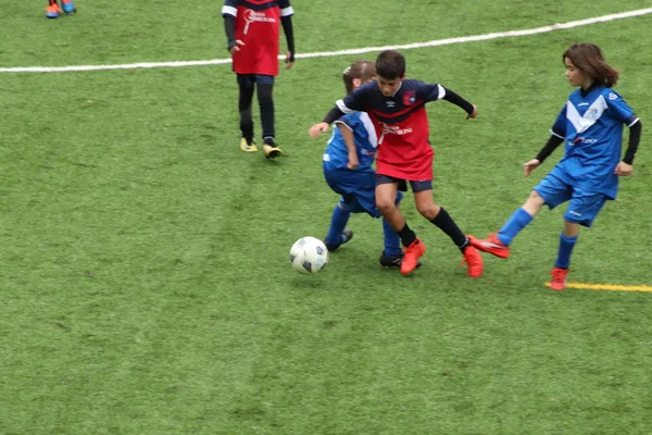 Brescia Itália Novembro 2018 Crianças Jogando Campeonato Para Jovens Futebolistas — Fotografia de Stock