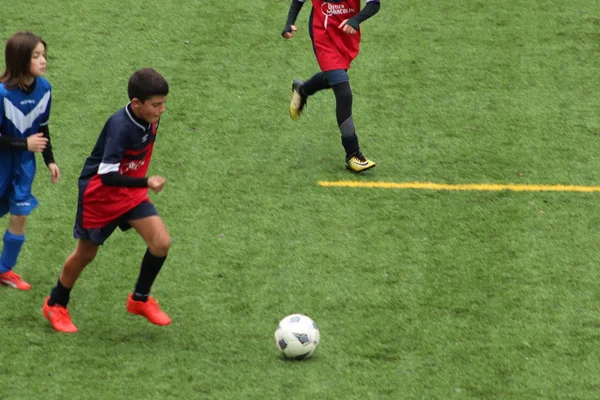 Brescia Italia Noviembre 2018 Niños Jugando Campeonato Para Los Jóvenes —  Fotos de Stock