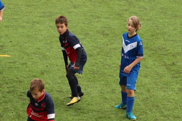 Brescia Itália Novembro 2018 Crianças Jogando Campeonato Para Jovens Futebolistas — Fotografia de Stock