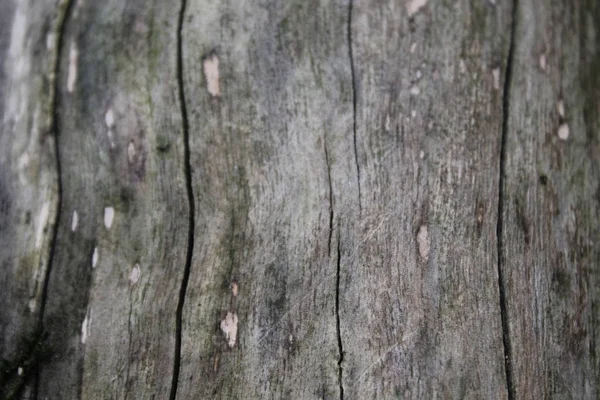 Fontana Pietra Con Rubinetti Acqua Corrente — Foto Stock