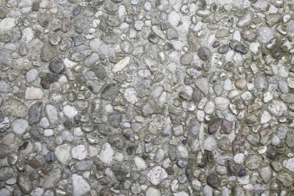 Pebble Pedra Piso Azulejo Fundo Sem Costura Cimento Misto Cascalho — Fotografia de Stock