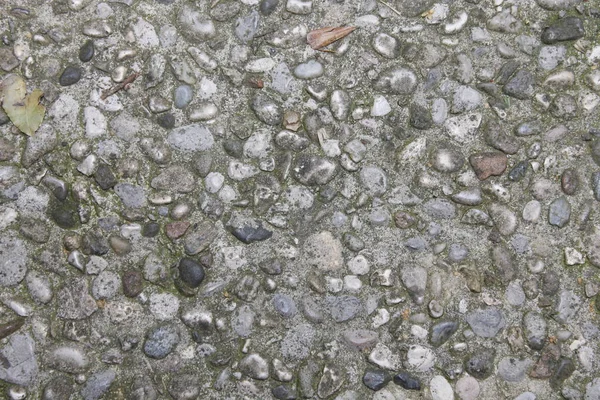 小石石の床タイルのシームレスな背景 砂利小石石の床のテクスチャを混合したセメント ドラマチックな照明でウェットの丸い小石石岩盤床 — ストック写真