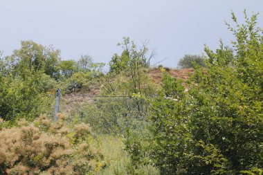 yeşil dağların İtalya ile manzara