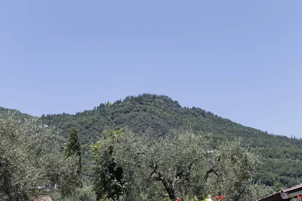 Landschaft Mit Grünen Bergen Italien — Stockfoto