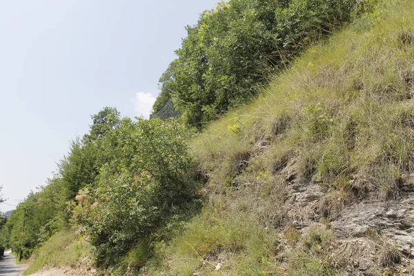 Vista Sulle Montagne Verdi Cielo Azzurro — Foto Stock