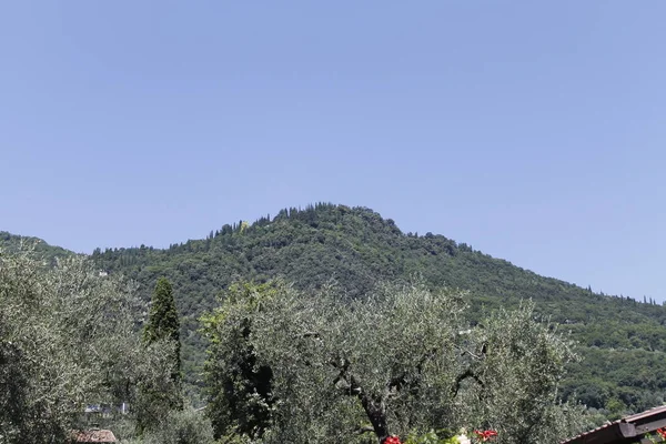 Yeşil Dağlar Açık Mavi Gökyüzü — Stok fotoğraf