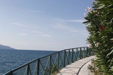  Garda Gölü İtalya renkli çiçeklerle geçit. 