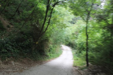 Kuzey İtalya kırsal yol ile manzara