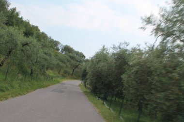 Kuzey İtalya kırsal yol ile manzara