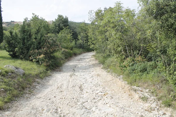 Paisaje Con Carretera Rural Norte Italia — Foto de Stock