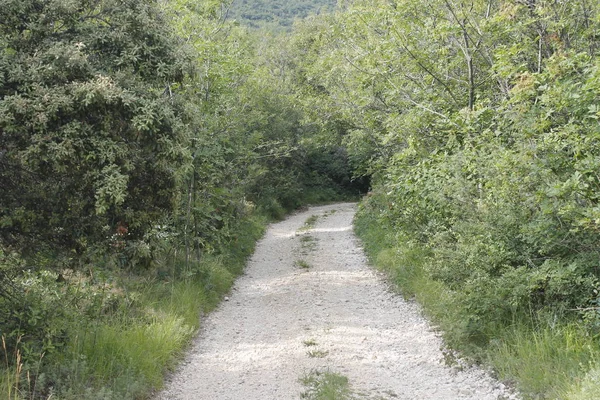 Lanskap Dengan Jalan Pedesaan Italia Utara — Stok Foto