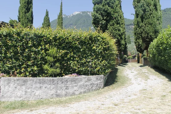 Landscape Rural Road North Italy — Stock Photo, Image