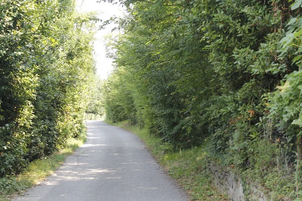 Kuzey Talya Kırsal Yol Ile Manzara — Stok fotoğraf